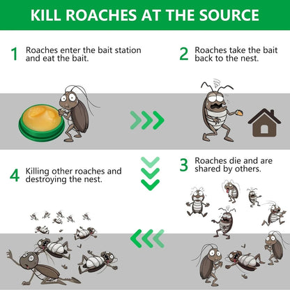 Cockroach Killer Gel (Pack of 12 pcs)