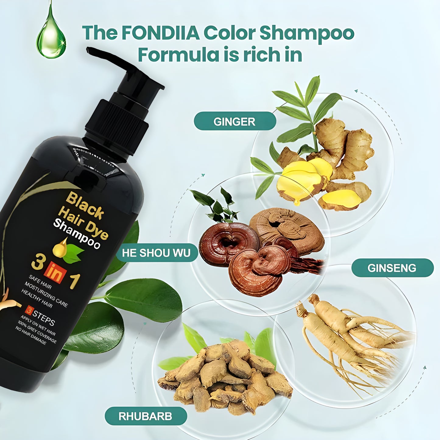 ✨The New-Black Hair Dye Shampoo Instant 3 in 1-100% Black Coverage - Buy 1 Get 1 Free 🔥