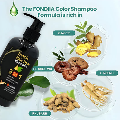 ✨The New-Black Hair Dye Shampoo Instant 3 in 1-100% Black Coverage - Buy 1 Get 1 Free 🔥