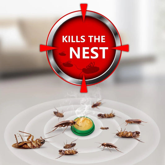 Cockroach Killer Gel (Pack of 12 pcs)